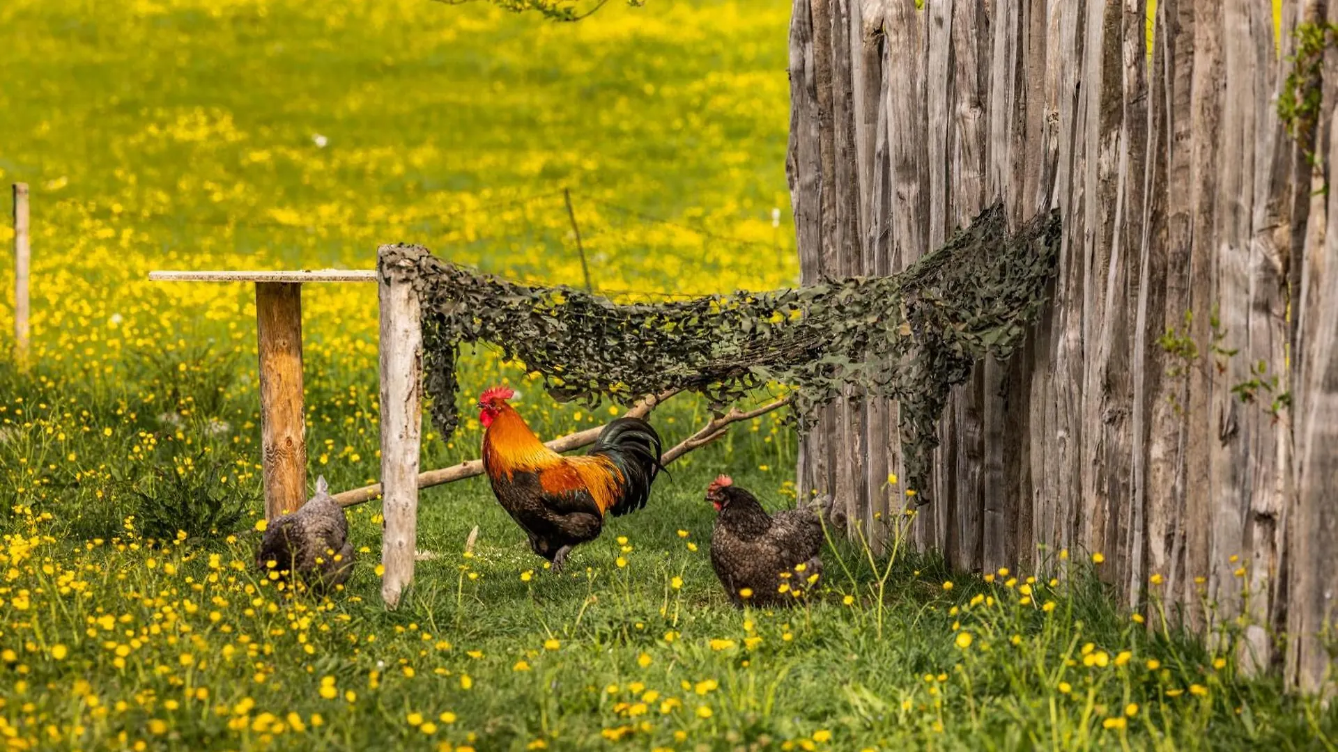 Ferienwohnungen am Gablerhof Bad Reichenhall